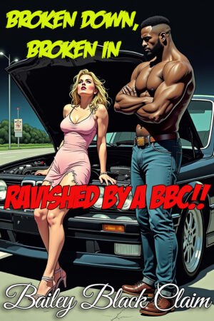 Broken Down, Broken In by Bailey Black Claim